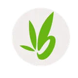 bamboo remodeling, Texas