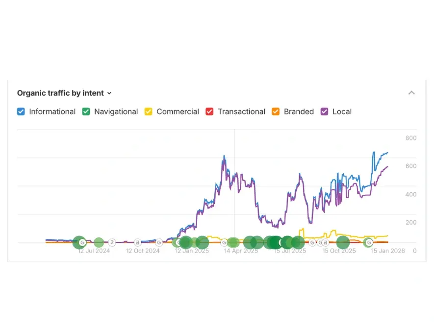 The Skinstitute — Skin Clinic Website Traffic By intent